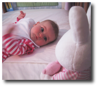 Finlay menaced by giant rabbit